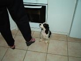Finou
