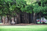 R50 Oahu Hawaii 2013