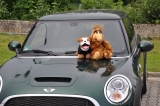 R56 Mcs Brg