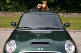 R56 Mcs Brg