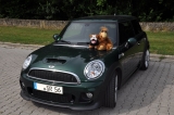 R56 Mcs Brg