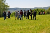 Mini Treffen Bodensee 2016