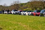 Mini Treffen Bodensee 2016