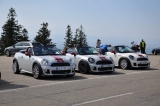 Mini Treffen Bodensee 2016