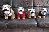 Bulldog Spike Rudel