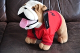 Bulldog Spike Rudel