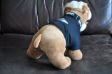 Bulldog Spike Rudel