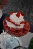 Frühlingserwachen 2007
