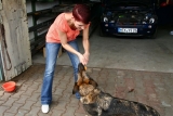 Crm-schubbern 13.08.2011