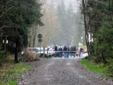 Was steht denn da im Wald?