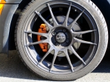 Charlie Fit Für Silverstone