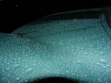 Dscn0448