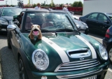 Autozug2