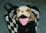 In Tasche
