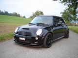 black beast