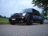black beast