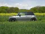 im Feld