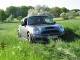 Frühling1