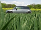Mini Im Feld