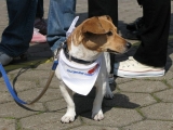 Image00034