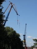 Hmd 2008
