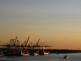 Hmd 2008