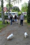 Cn Fleischvernichtungsevent In Radegast 19.mai 2012