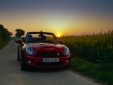 Sonnenaufgang Am Rapsfeld