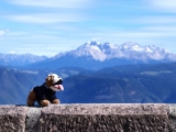 Alpen 2010