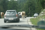 Crossing Austria 2009