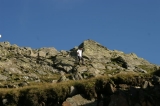 Crossing Austria 2009