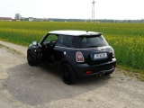 Raps-impressionen