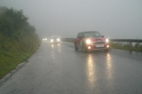 Grillen 2008