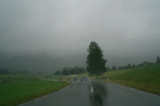Grillen 2008