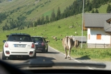 Js X Alps August 2011 11