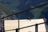 Js X Alps August 2011 5