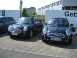 der Elwood & der Knut
