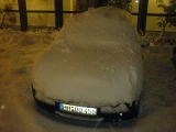 Der kleine mit "etwas" Schnee bedeckt.....