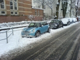 Mini`s im Winter