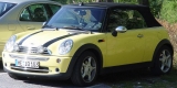 mini3