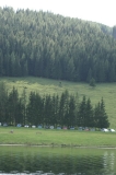 Crossing Austria 2009