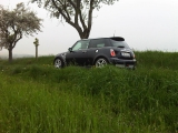 Img00177 20100511 1953