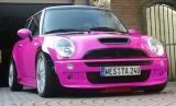 pinkratte