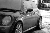 winter11_359868