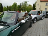 Meckpom2010