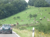 DeRuFa