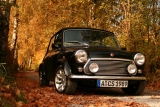 Fotoshooting Herbst