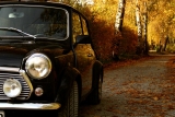 Fotoshooting Herbst