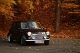 Fotoshooting Herbst