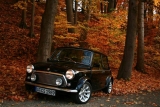 Fotoshooting Herbst